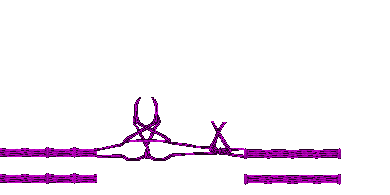 Magenta Pentagram Shibari
