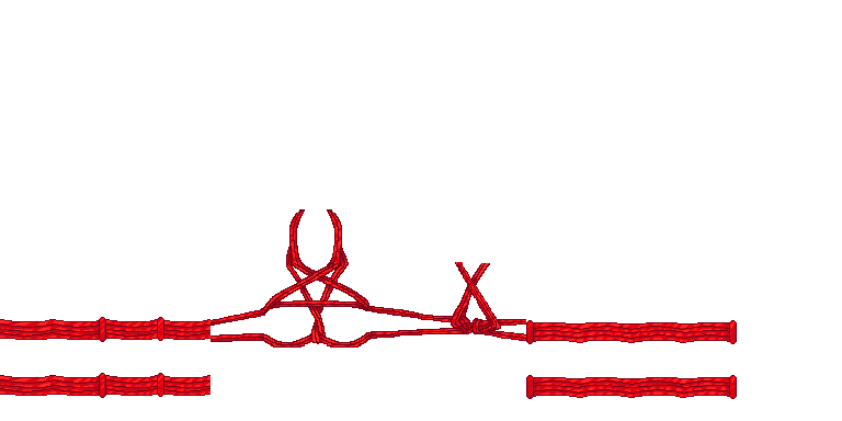 Red Pentagram Shibari
