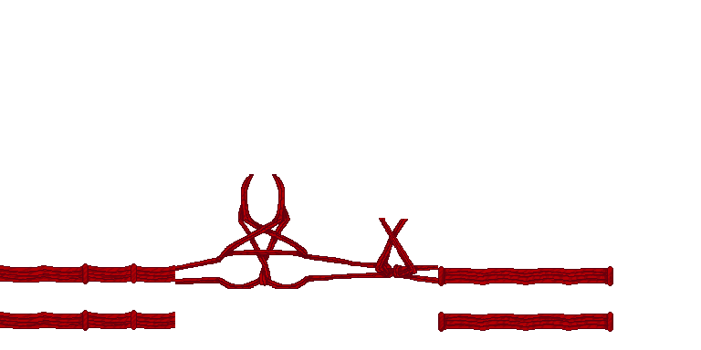 Dark Red Pentagram Shibari (Possible duplicate)
