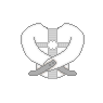 Straitjacket Icon
