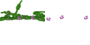 vine_blindd.png