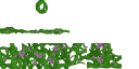 Filename=vine_seedFlowerEE.png
Filesize=105KiB
Dimensions=768x384
Date added=May 21, 2025 vine_seedFlowerEE.png