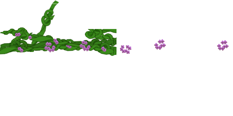 VIneFlowerBlindfold
