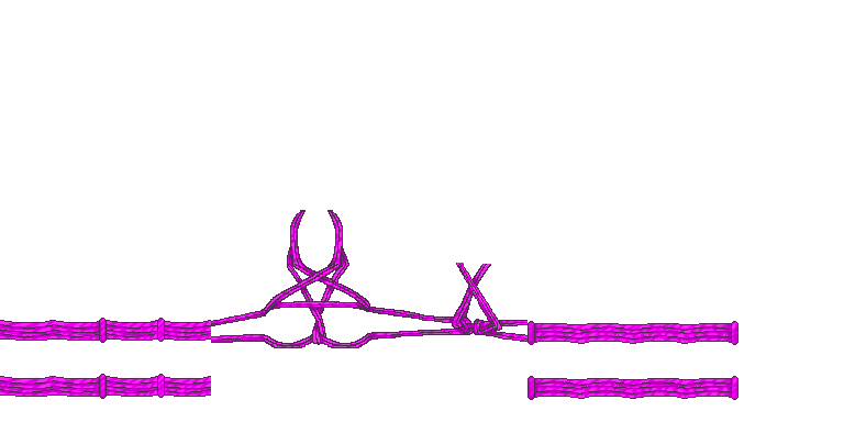 Pentagram_harness_pink
Keywords: rope,bondage,harness,pentagram