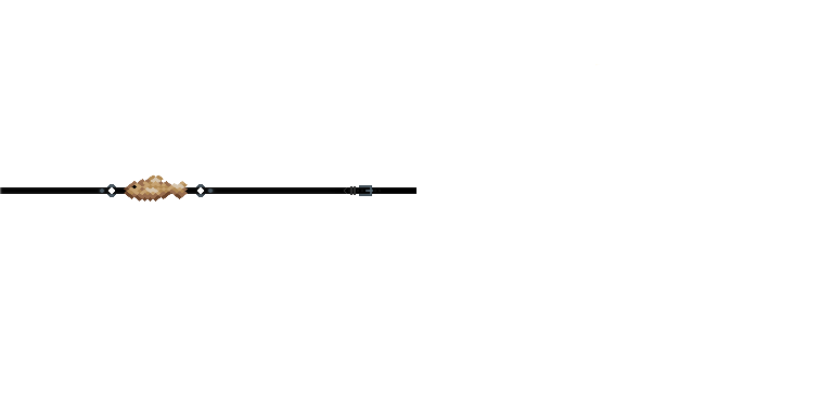 vL6e4gE
