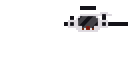 Filename=VisorMaid.png
Filesize=5KiB
Dimensions=768x384
Date added=Jun 18, 2025 VisorMaid.png