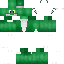 LizardSkinCustom

