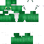 LizardSkinCustom
