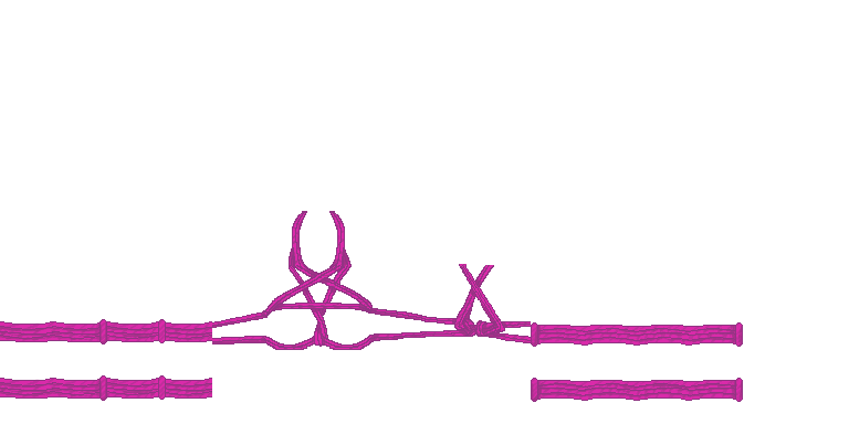 Pink-Pentagram
