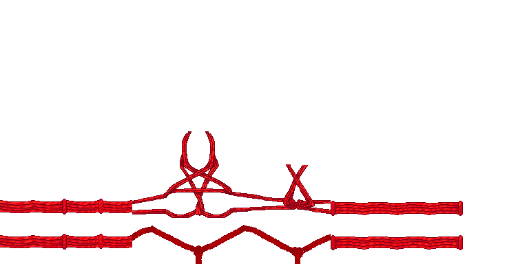 Pentagram_harness_red.png
