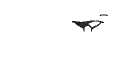 Filename=vonlycaon_nakase_eyepatch_trim.png
Filesize=0KiB
Dimensions=256x128
Date added=Oct 09, 2025 vonlycaon_nakase_eyepatch_trim.png