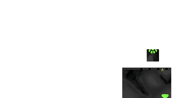 Lime_Mitten_Test.png