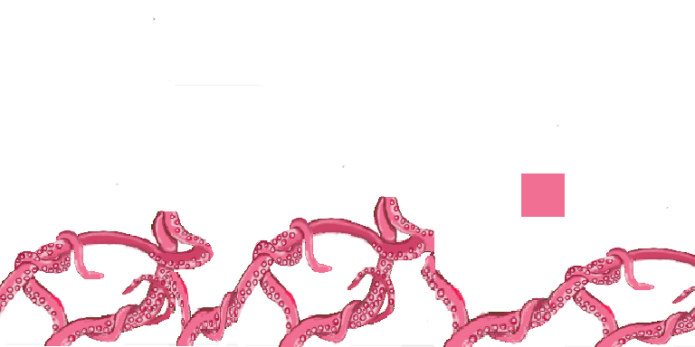 vine_seed~0.png
